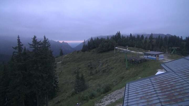 Webcam live 