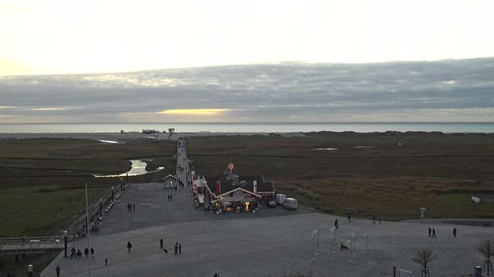 Webcam live 