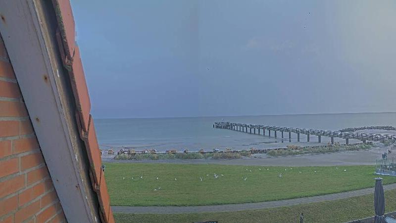 Webcam live 