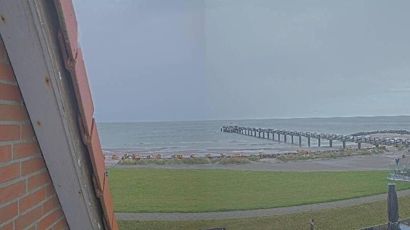 Webcam live 