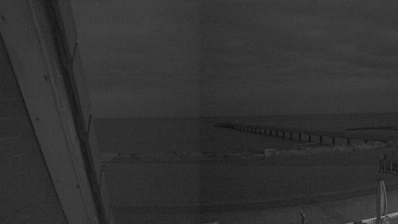 Webcam live 