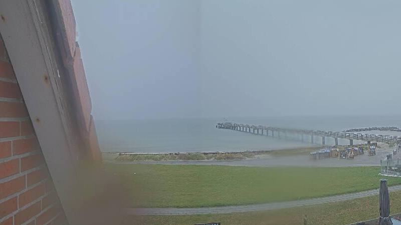 Webcam live 