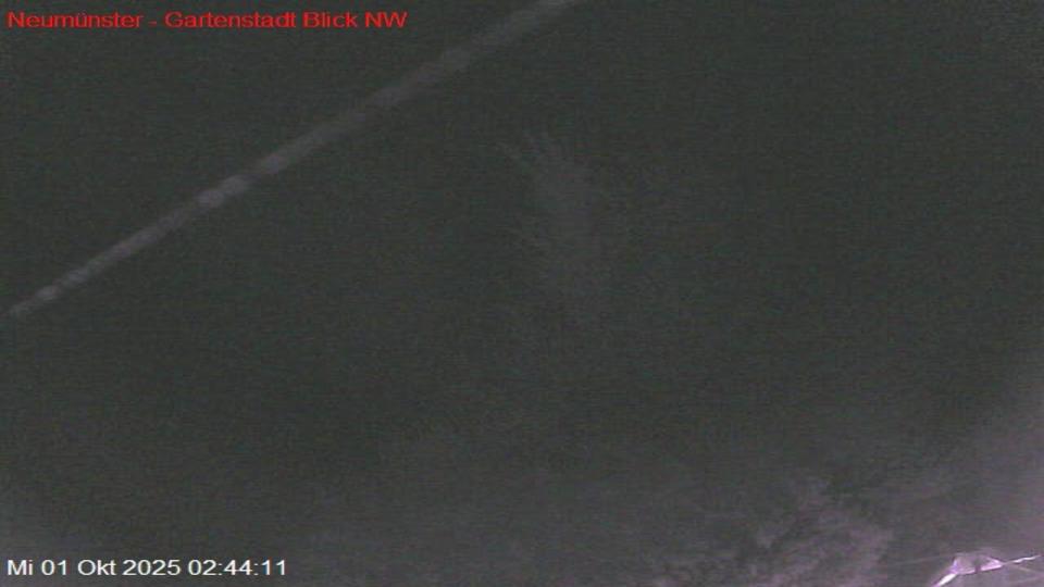 Webcam live 