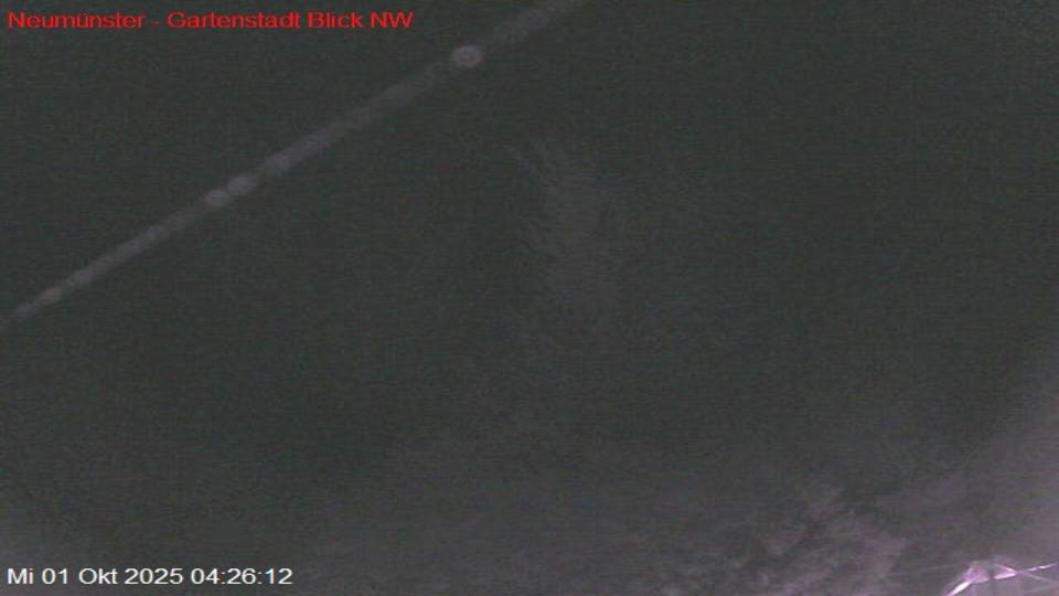 Webcam live 