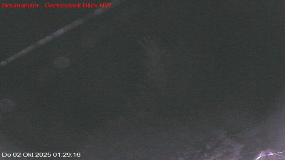 Webcam live 