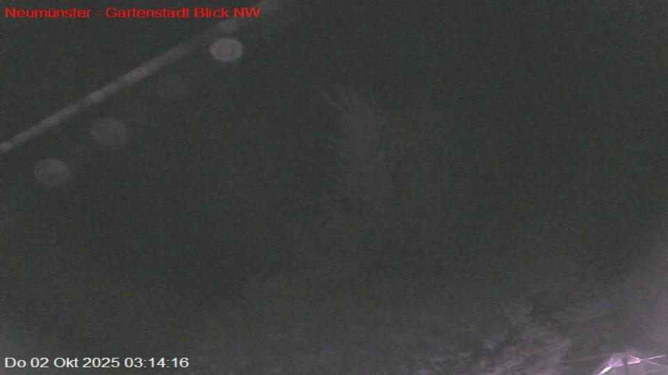 Webcam live 