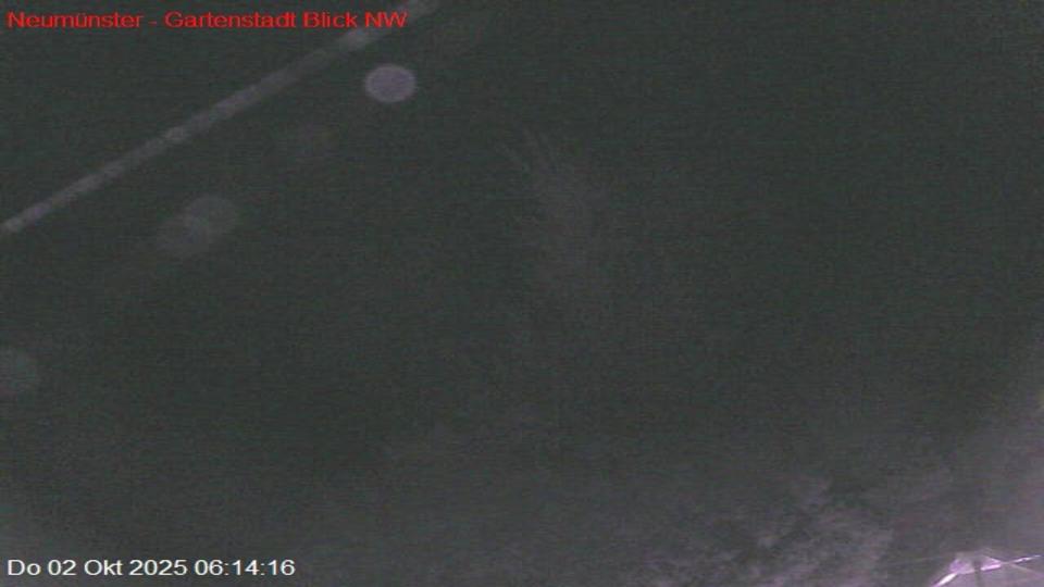 Webcam live 