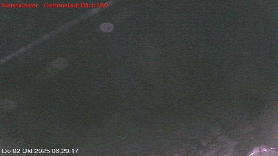 Webcam live 