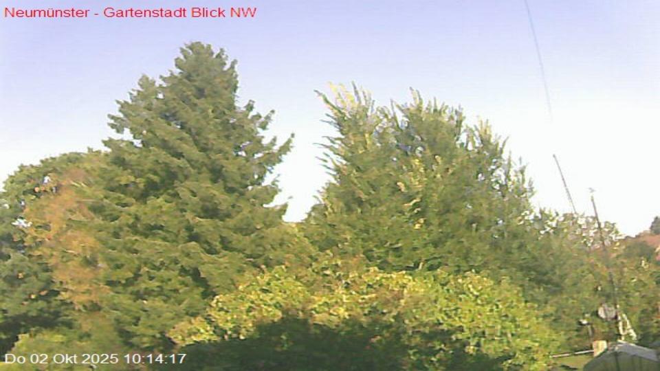 Webcam live 