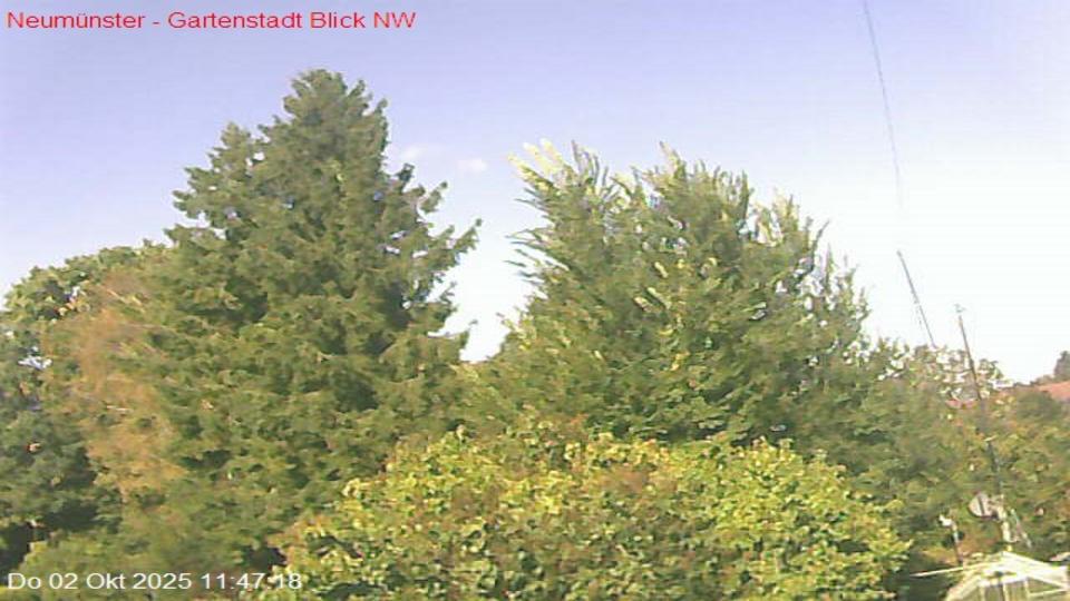 Webcam live 