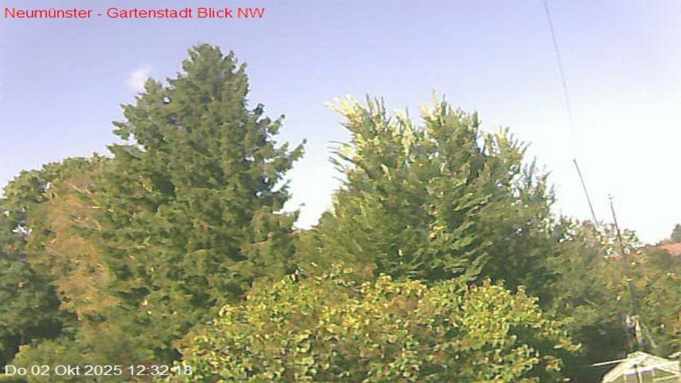 Webcam live 