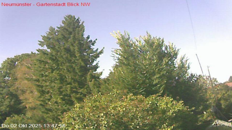 Webcam live 