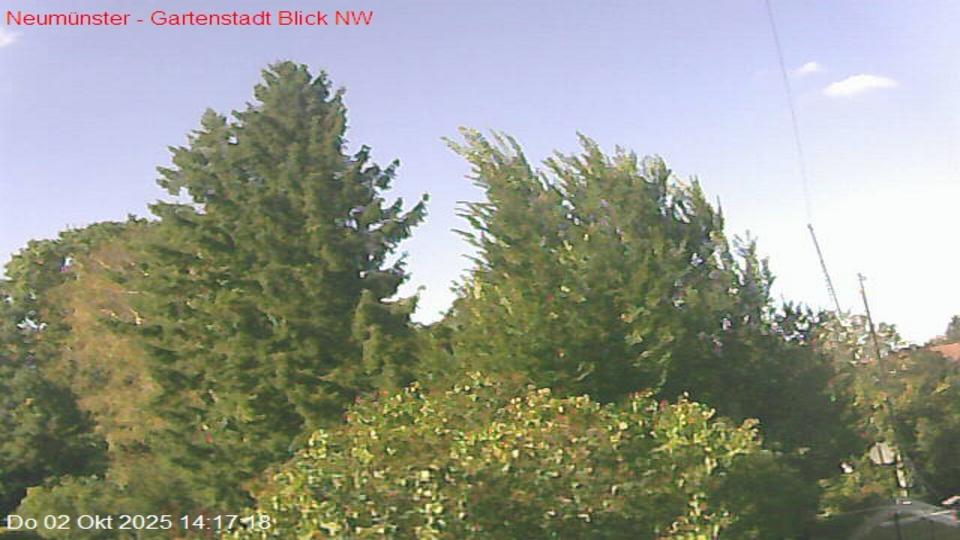 Webcam live 
