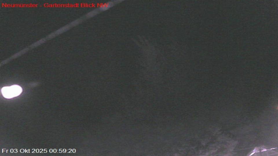 Webcam live 