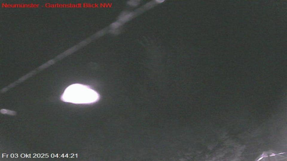 Webcam live 