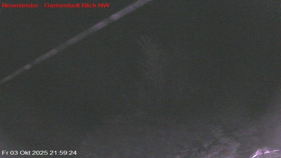 Webcam live 