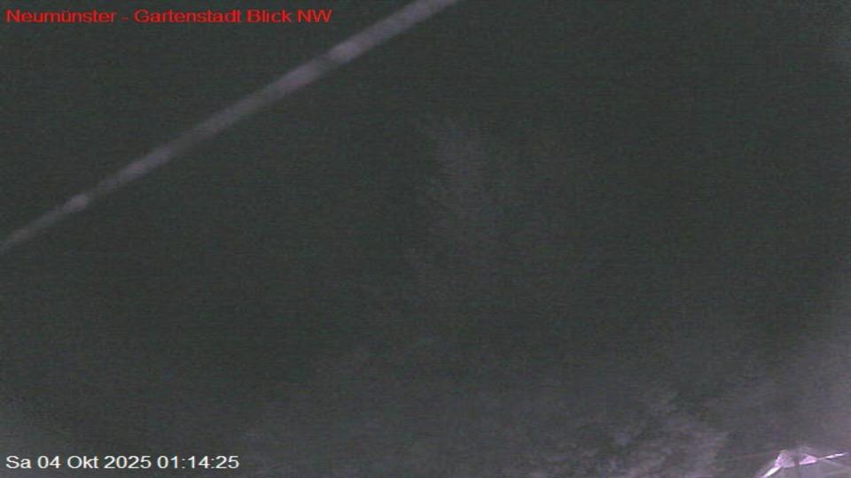 Webcam live 