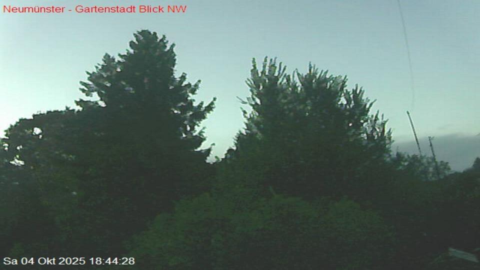 Webcam live 