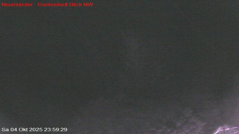 Webcam live 