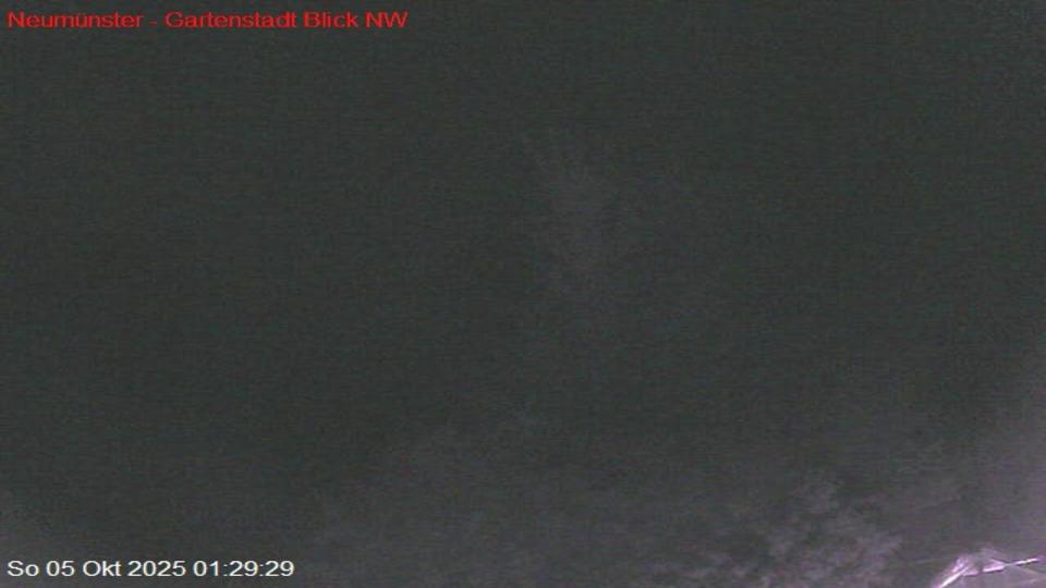 Webcam live 