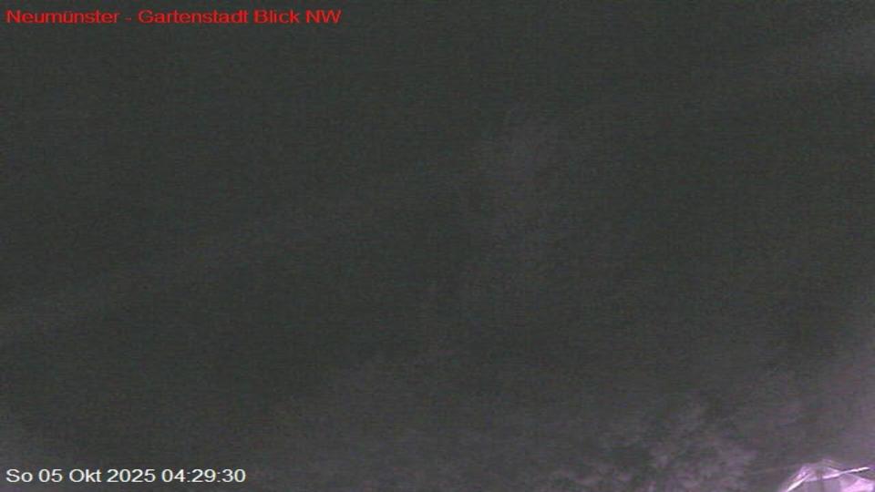 Webcam live 