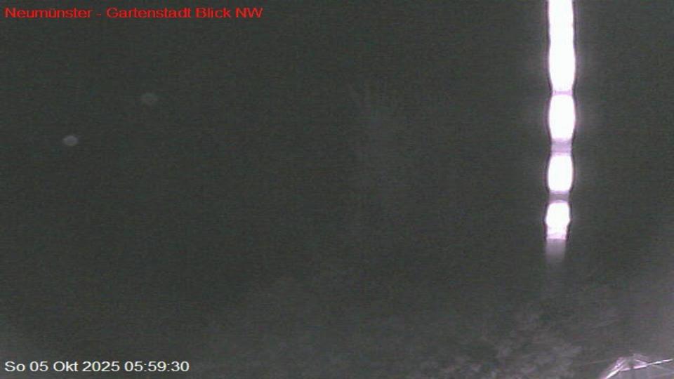 Webcam live 