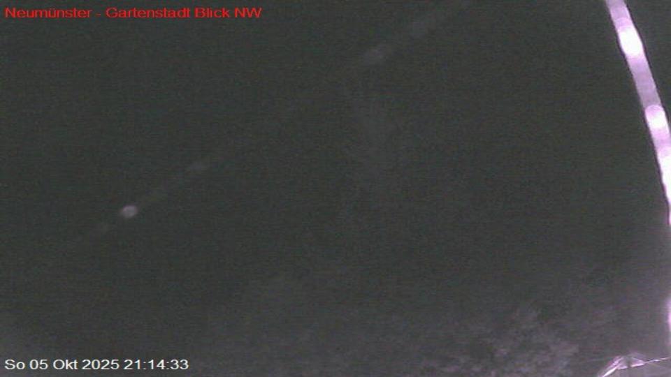 Webcam live 