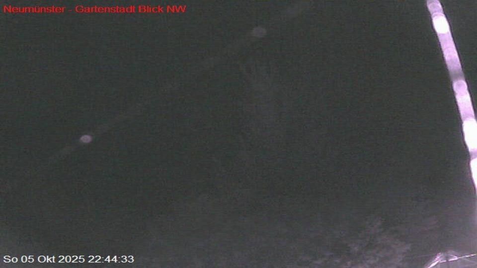 Webcam live 