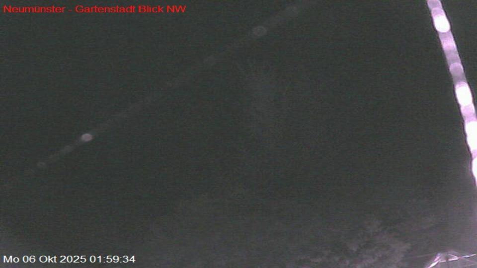 Webcam live 