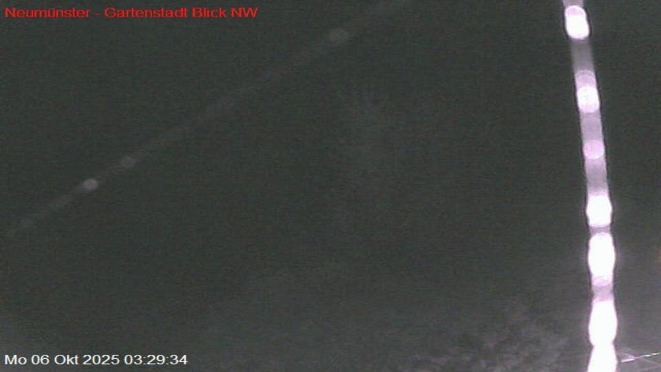 Webcam live 