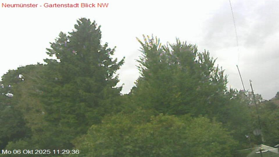 Webcam live 