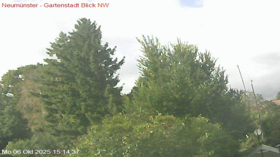 Webcam live 