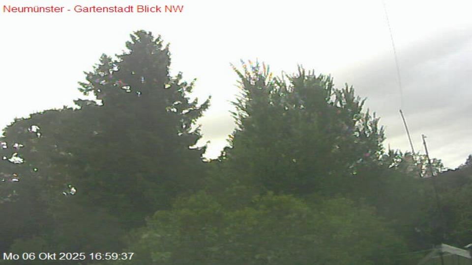 Webcam live 