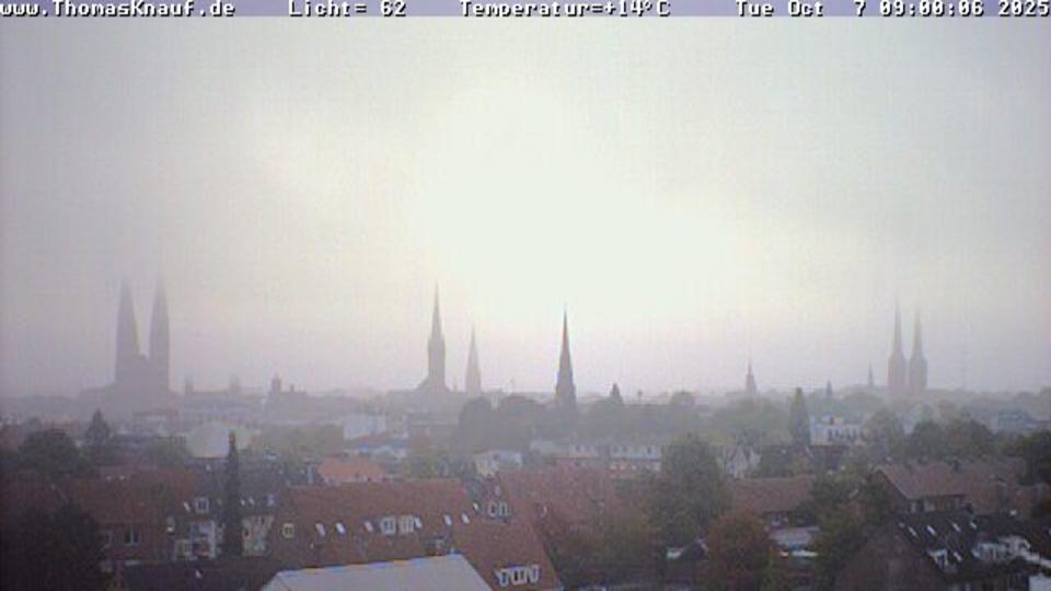 Webcam live 