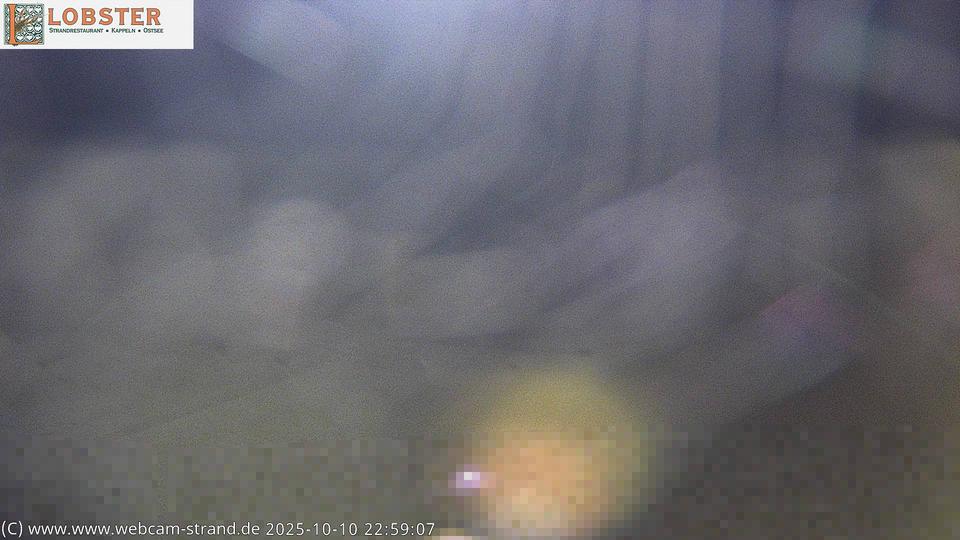 Webcam live 
