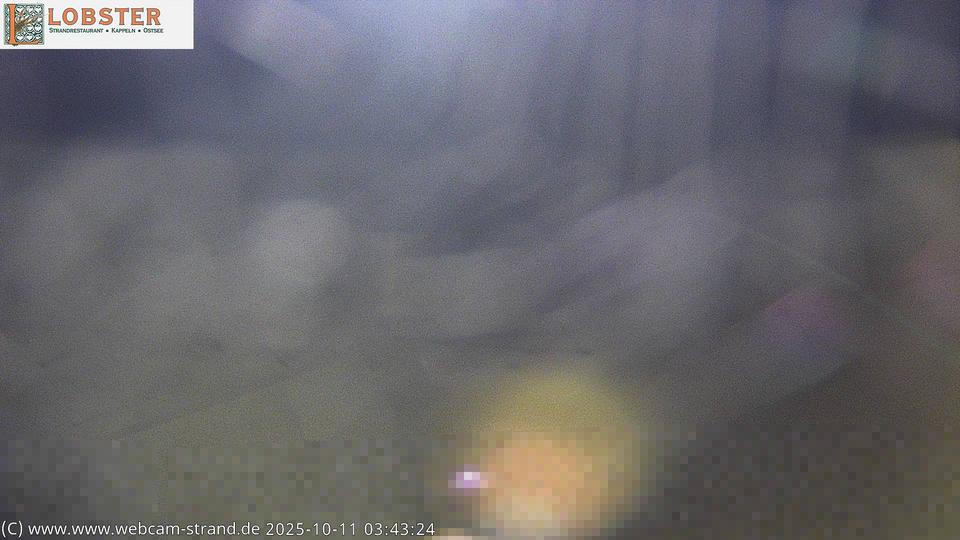 Webcam live 