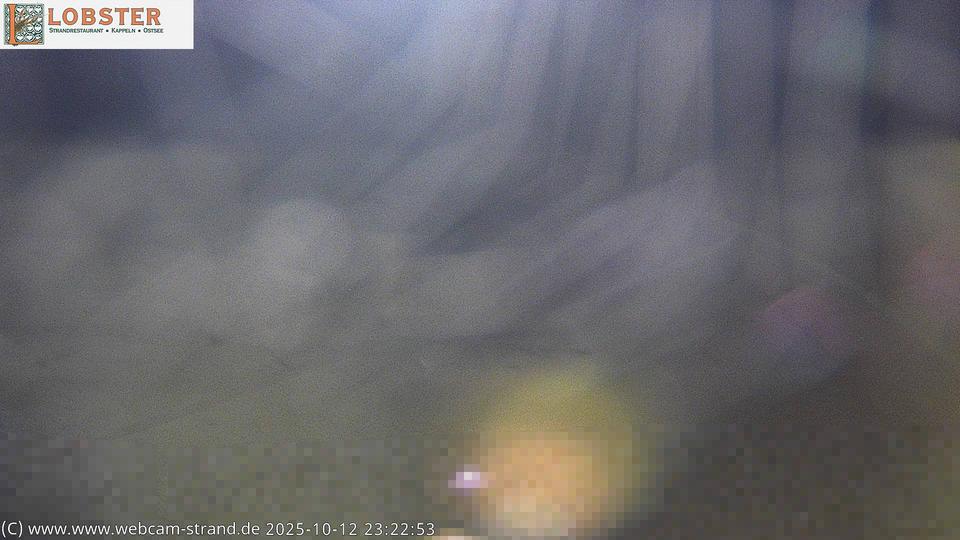 Webcam live 