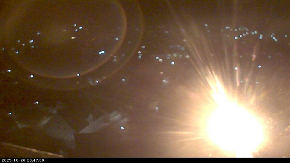 Webcam live 