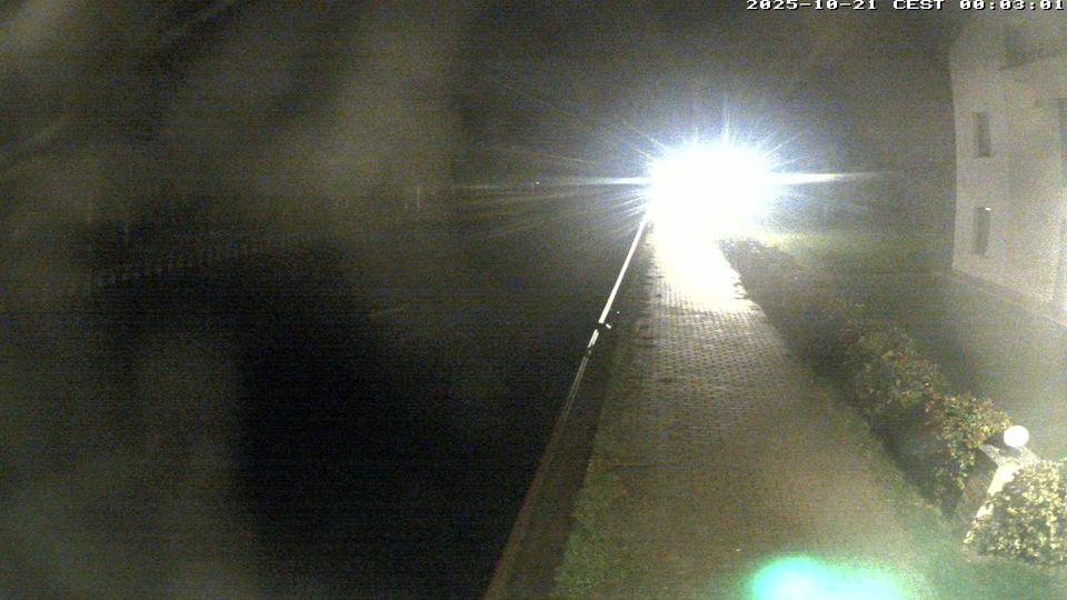 Webcam live 
