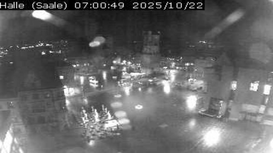 Webcam live 