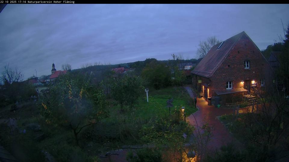 Webcam live 