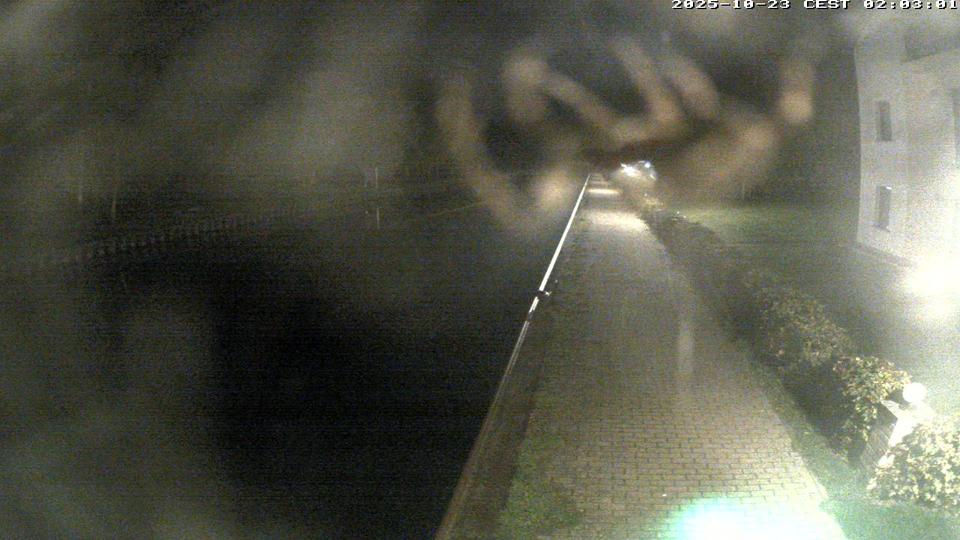 Webcam live 