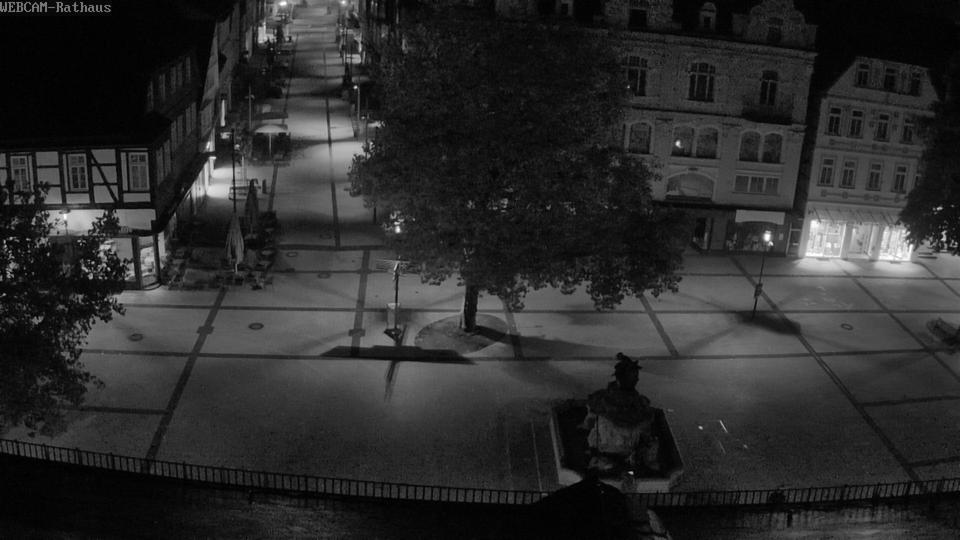 Webcam live 