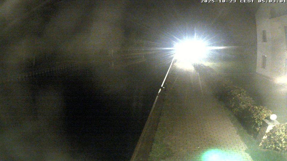 Webcam live 