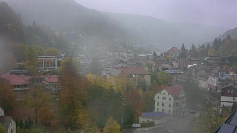 Webcam live 