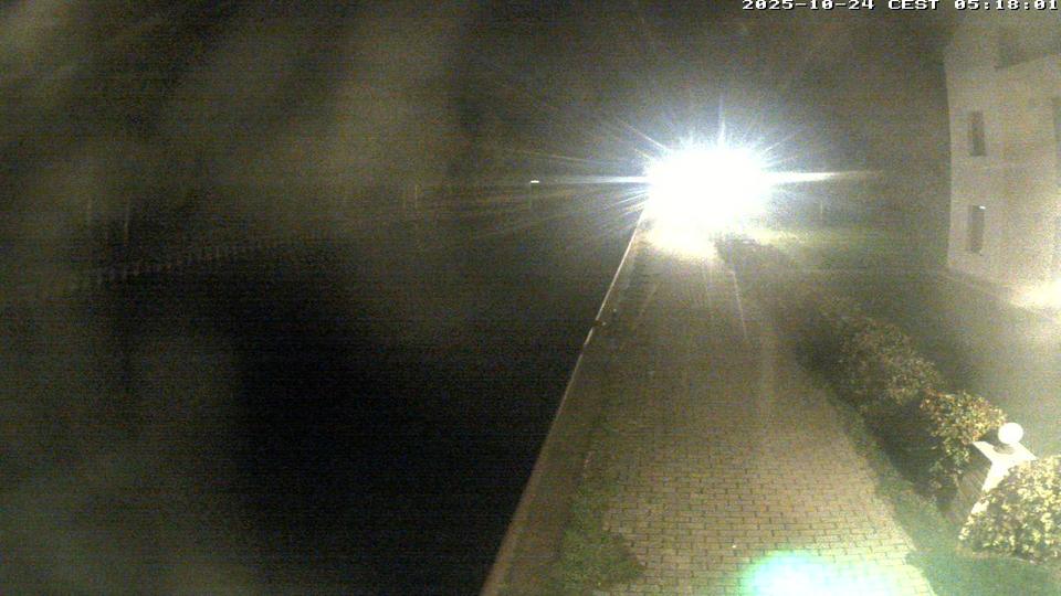 Webcam live 