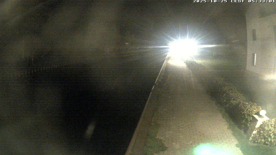 Webcam live 