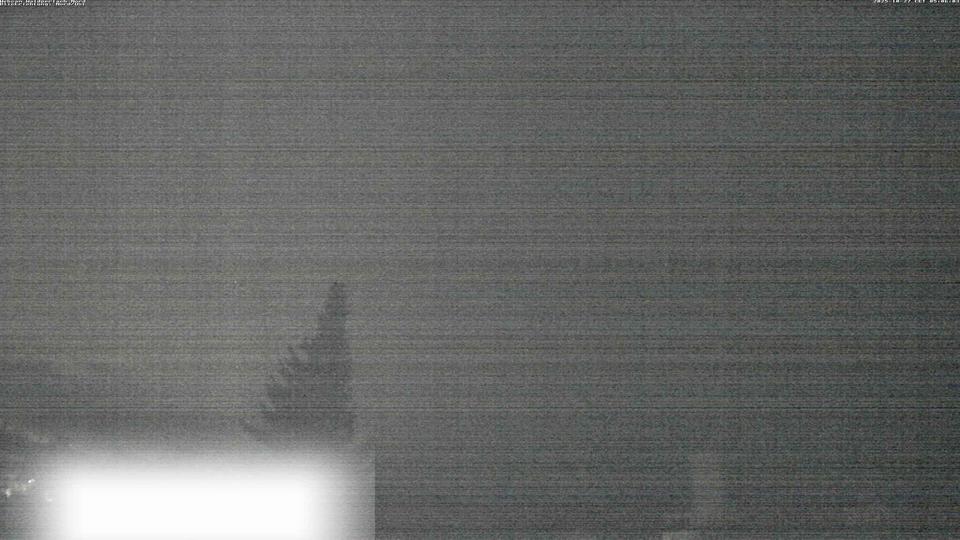Webcam live 