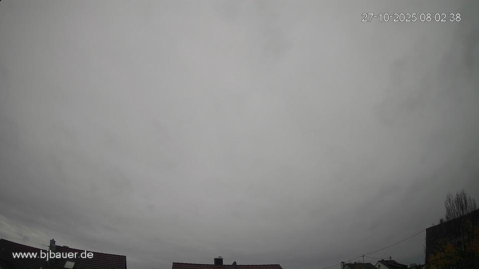 Webcam live 