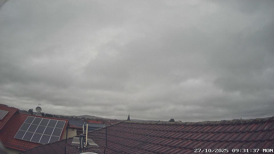 Webcam live 